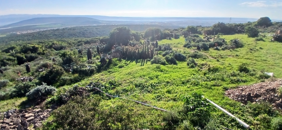 3 Bedroom Property for Sale in Uitenhage Rural Eastern Cape
